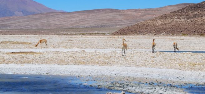 Salar de Uyuni - Bolívia - Tudo o que você precisa saber sobre o passeio